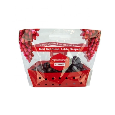 Factory Supply Moisture Proof Transparent Fruit Packaging Plastic Bag Stand Up Packing For Fresh Fruit